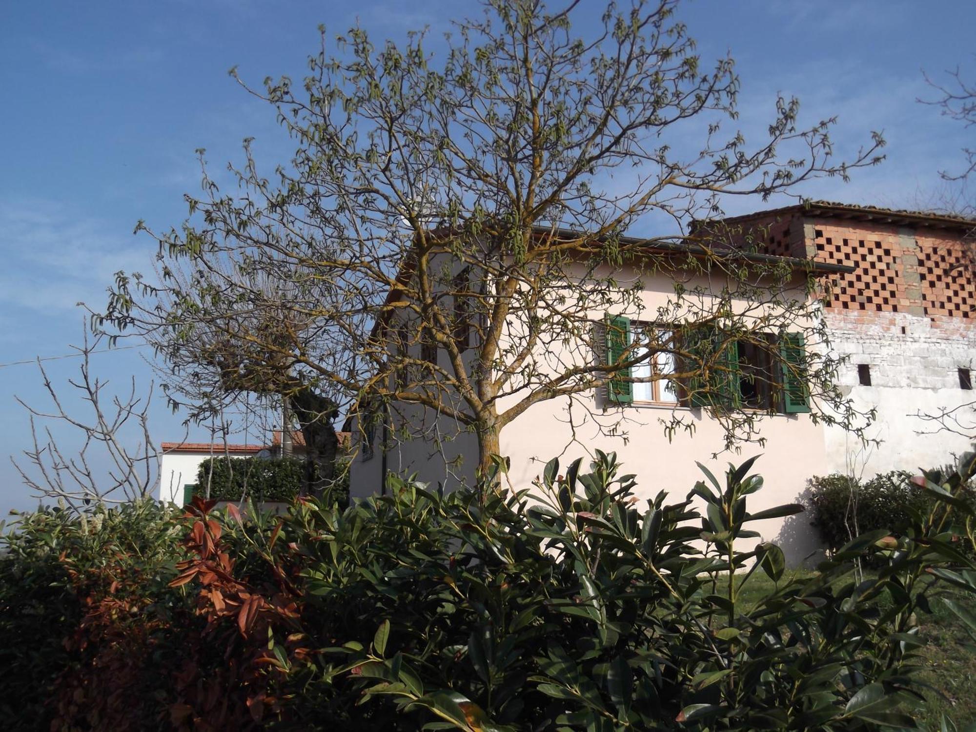 Agriturismo Le Caselle Cerbaia Quarto foto